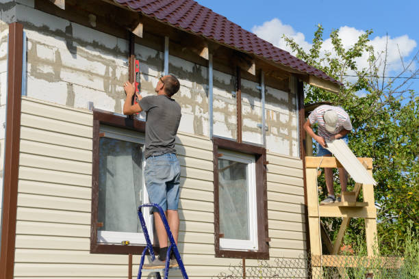 Affordable Siding Repair and Maintenance Services in Chama, NM